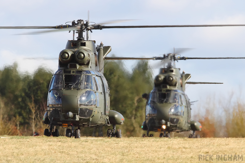 Westland Puma HC1 - XW213 + XW219 - RAF