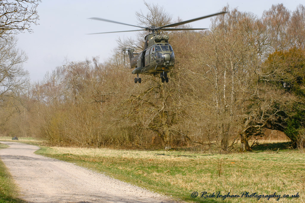 Westland Puma HC1 - ZJ954 - RAF