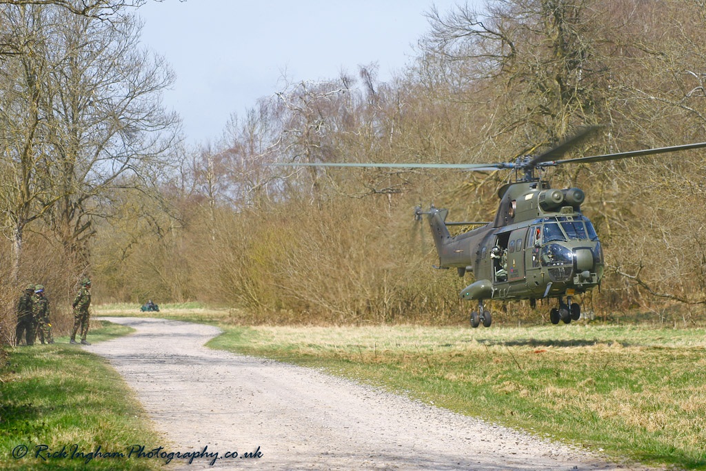 Westland Puma HC1 - ZJ954 - RAF