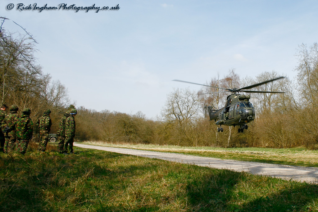 Westland Puma HC1 - ZJ954 - RAF