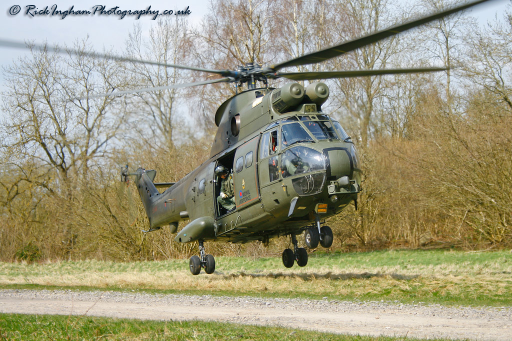 Westland Puma HC1 - ZJ954 - RAF