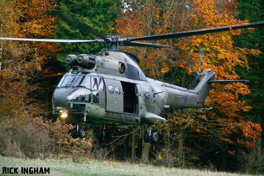 Westland Puma HC1 - XW211 - RAF