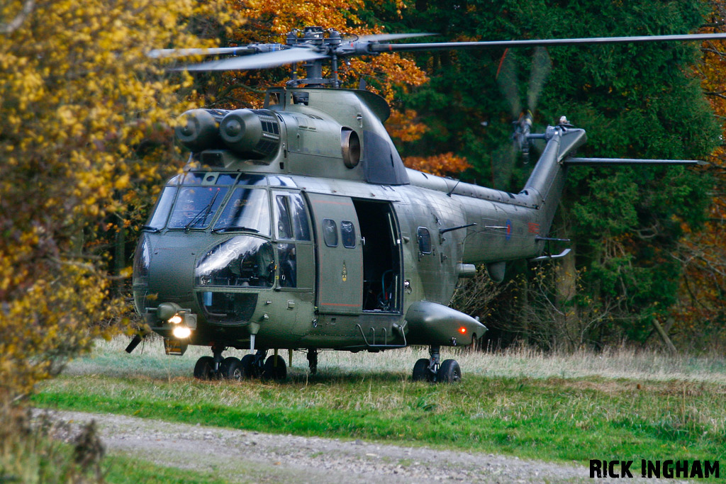 Westland Puma HC1 - XW211 - RAF