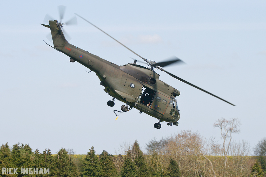 Westland Puma HC1 - XW231 - RAF