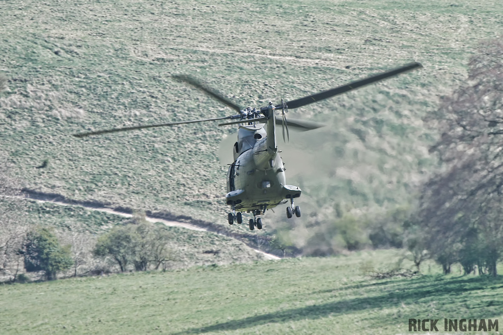 Westland Puma HC1 - XW231 - RAF