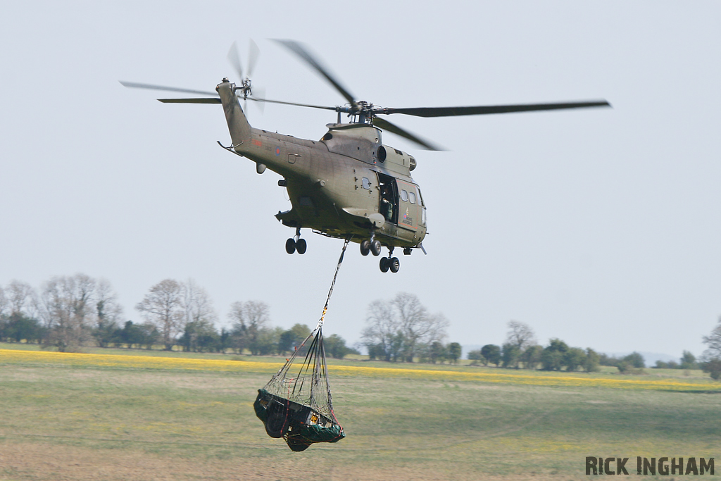 Westland Puma HC1 - XW231 - RAF