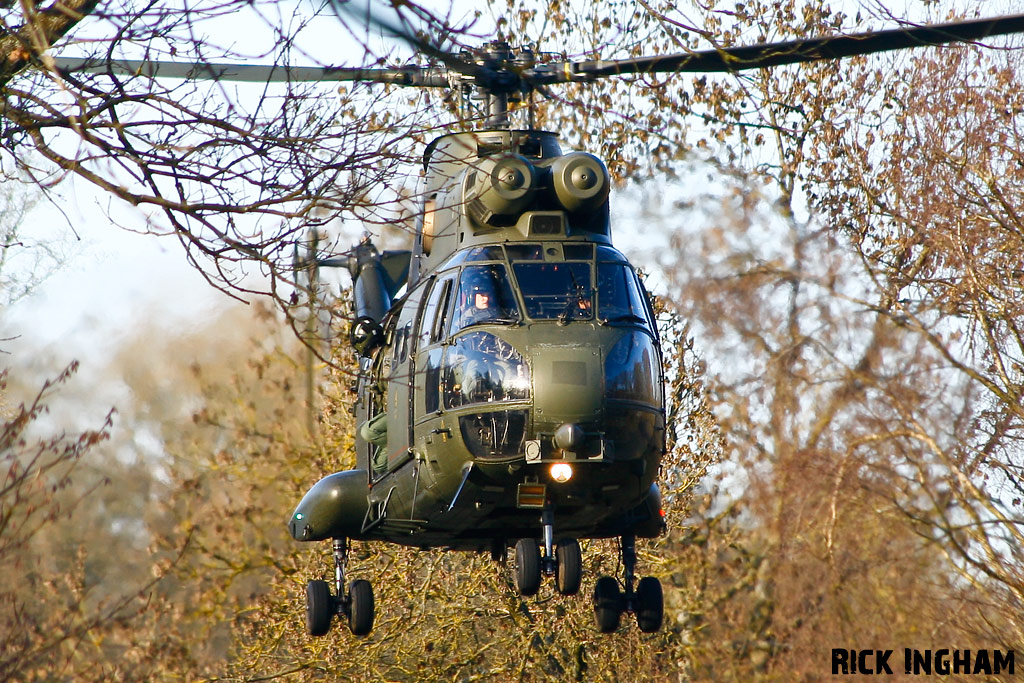 Westland Puma HC1 - XW224 - RAF