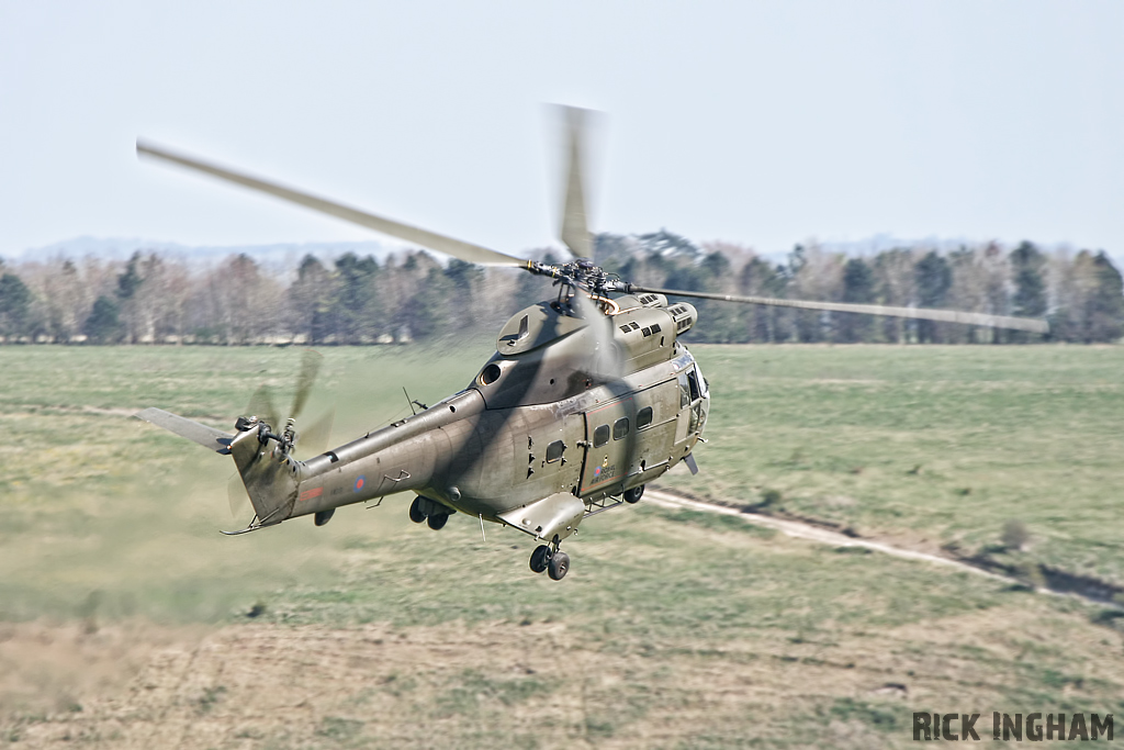 Westland Puma HC1 - XW231 - RAF