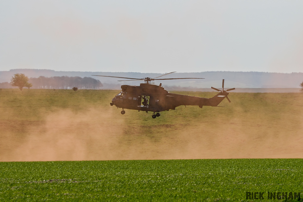 Westland Puma HC1 - XW231 - RAF