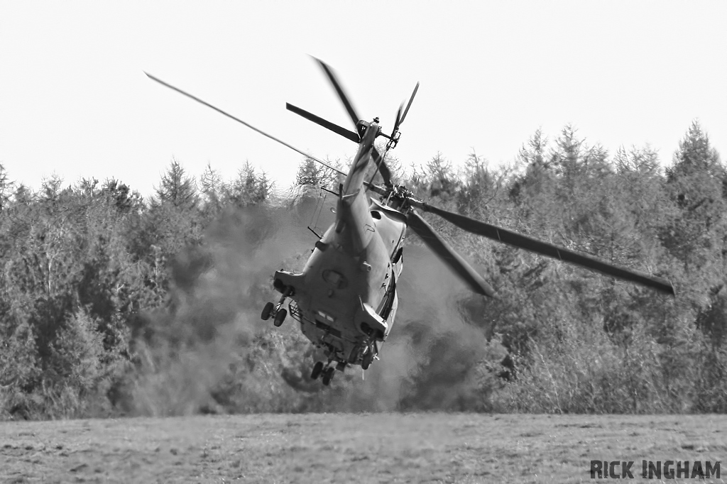 Westland Puma HC1 - XW231 - RAF