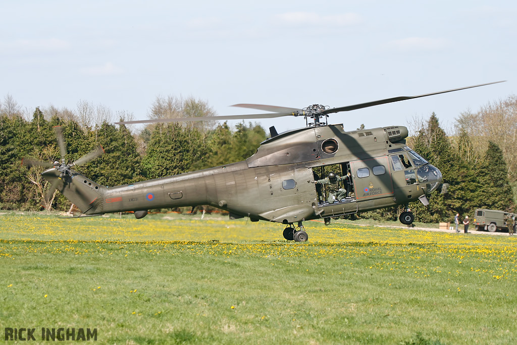 Westland Puma HC1 - XW231 - RAF