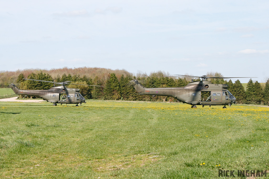 Westland Puma HC1 - XW231 + ZA935 - RAF