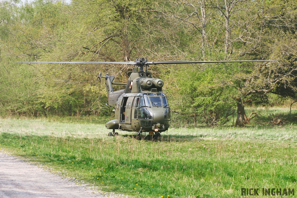 Westland Puma HC1 - XW231 - RAF