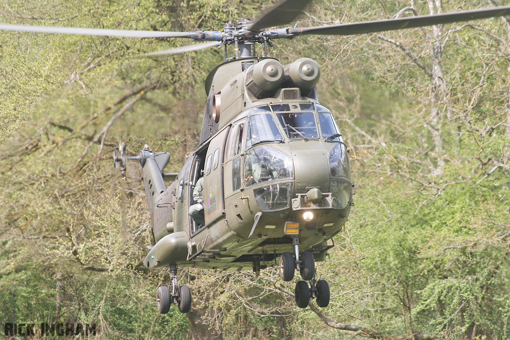 Westland Puma HC1 - XW231 - RAF