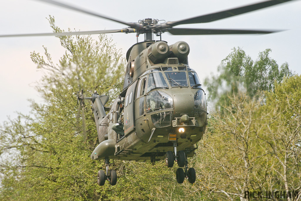 Westland Puma HC1 - XW231 - RAF