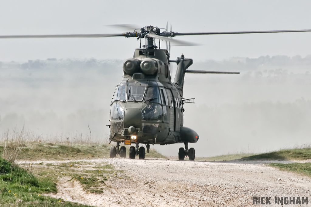 Westland Puma HC1 - XW231 - RAF