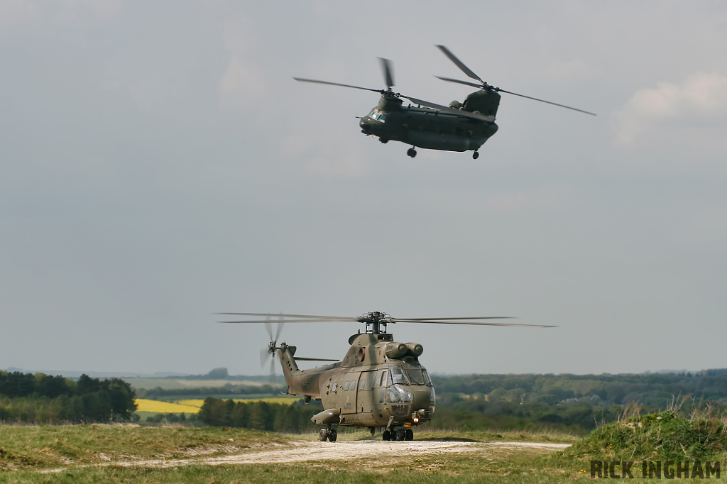 Westland Puma HC1 - XW231 - RAF