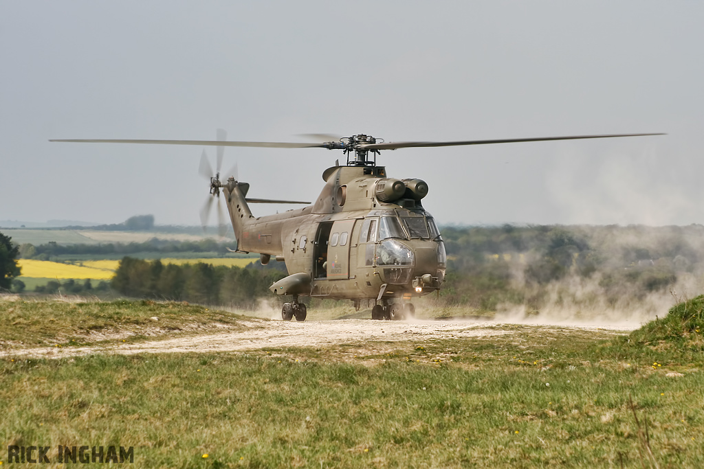 Westland Puma HC1 - XW231 - RAF
