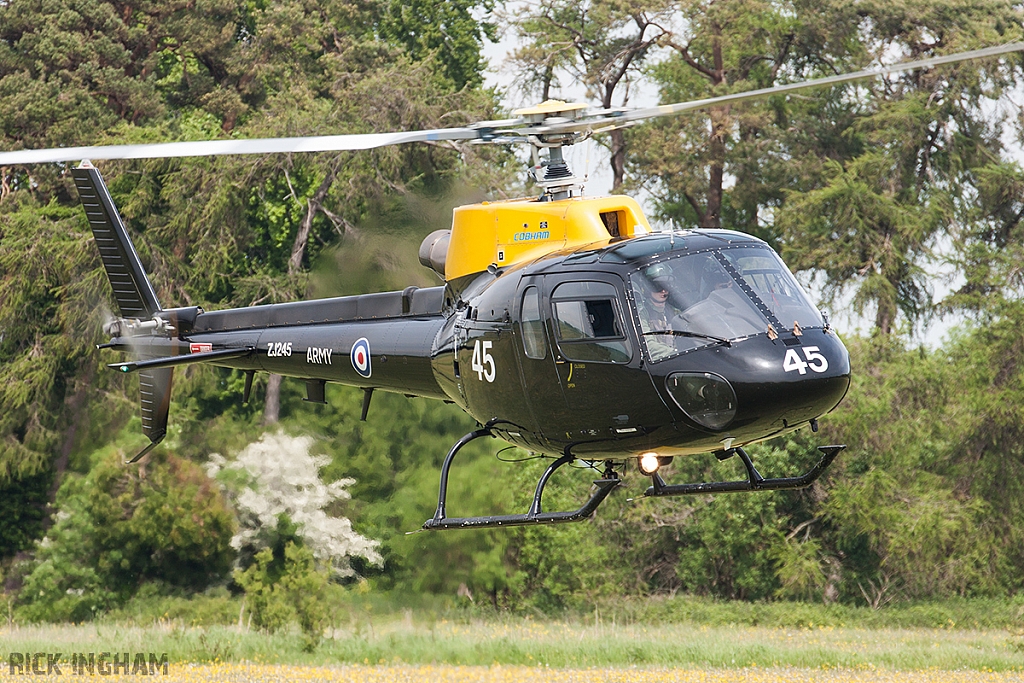 Eurocopter Squirrel HT2 - ZJ245 - AAC