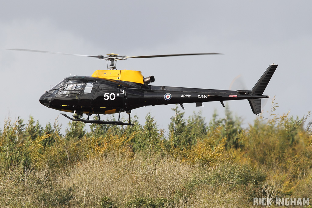 Eurocopter Squirrel HT2 - ZJ250 - AAC