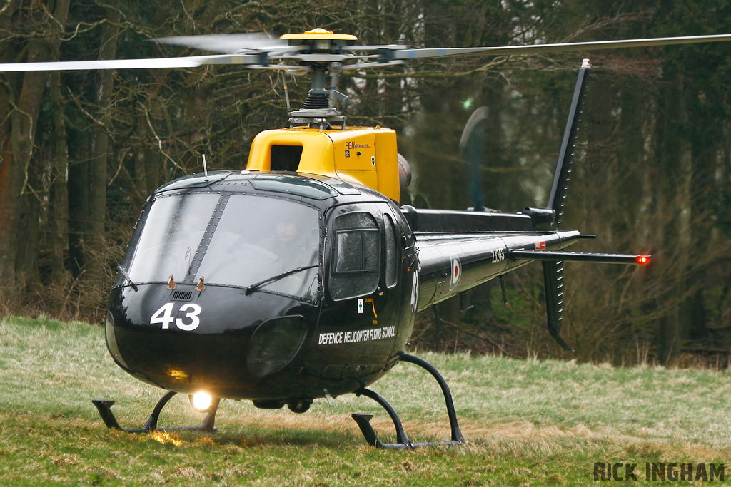 Eurocopter Squirrel HT1 - ZJ243 - DHFS