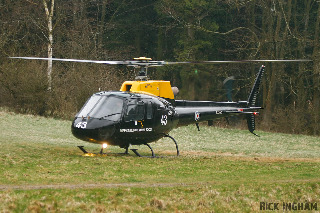 Eurocopter Squirrel HT1 - ZJ243 - DHFS