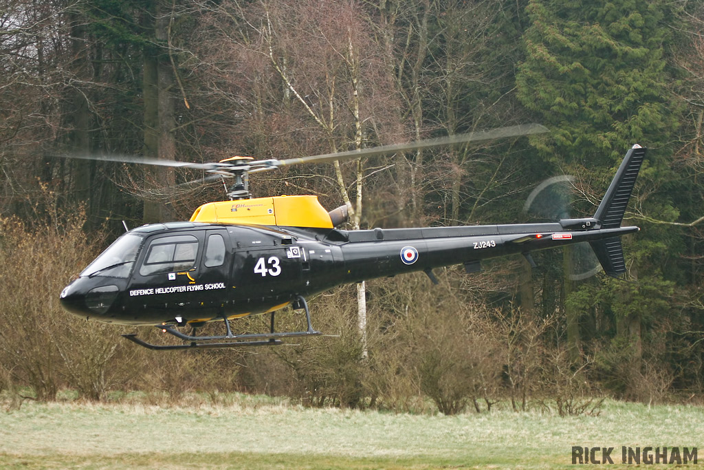 Eurocopter Squirrel HT1 - ZJ243 - DHFS