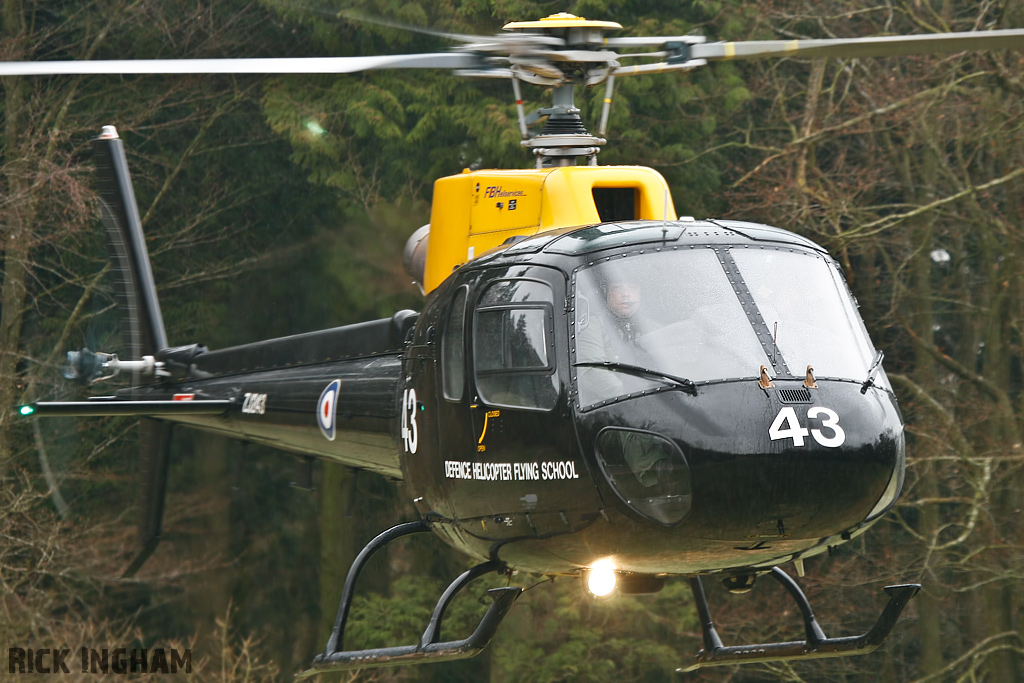 Eurocopter Squirrel HT1 - ZJ243 - DHFS