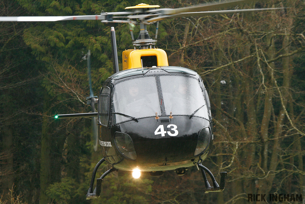 Eurocopter Squirrel HT1 - ZJ243 - DHFS