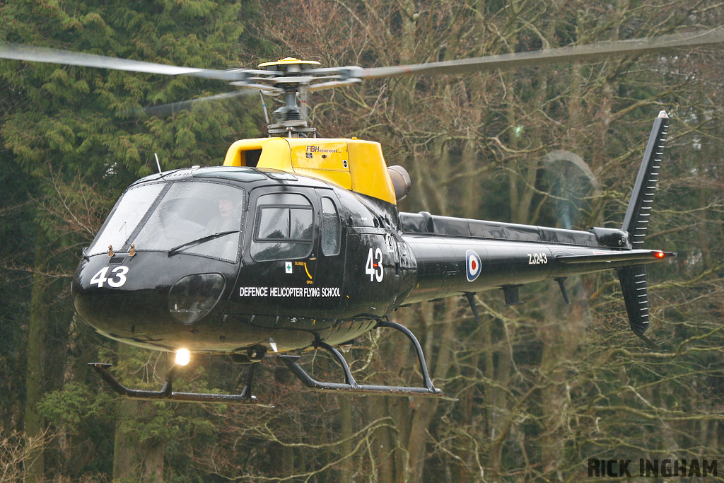 Eurocopter Squirrel HT1 - ZJ243 - DHFS