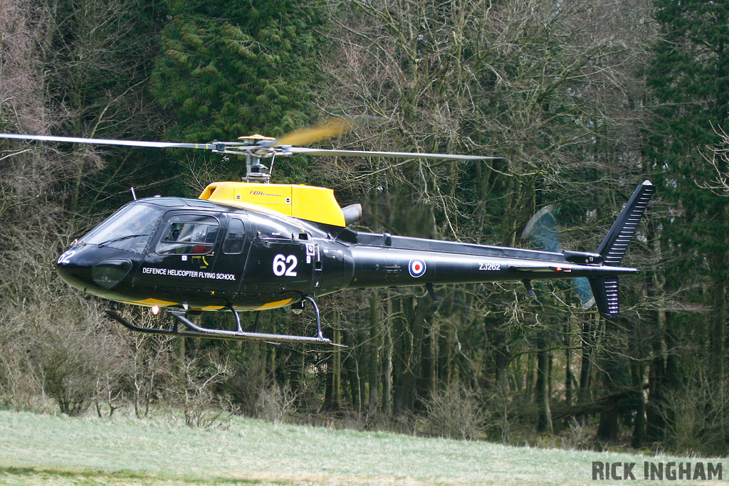 Eurocopter Squirrel HT1 - ZJ262 - DHFS/RAF