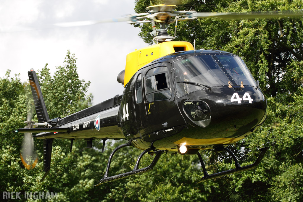 Eurocopter Squirrel HT2 - ZJ244 - AAC