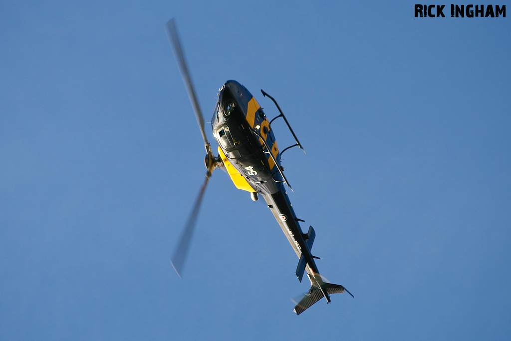 Eurocopter Squirrel HT2 - ZJ254 - AAC