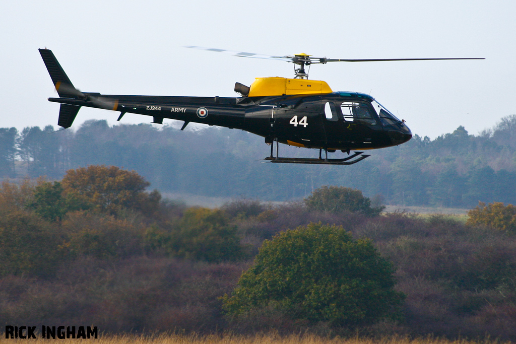 Eurocopter Squirrel HT2 - ZJ244 - AAC