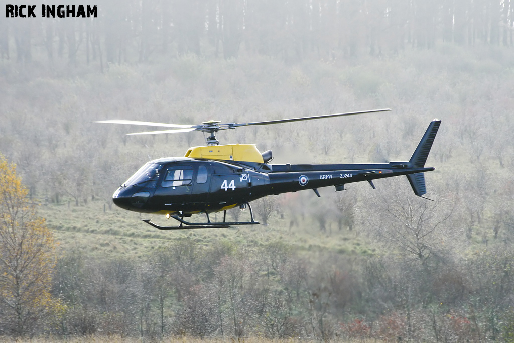 Eurocopter Squirrel HT2 - ZJ244 - AAC