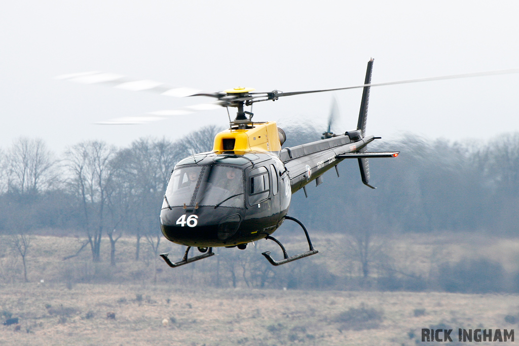 Eurocopter Squirrel HT2 - ZJ246 - AAC