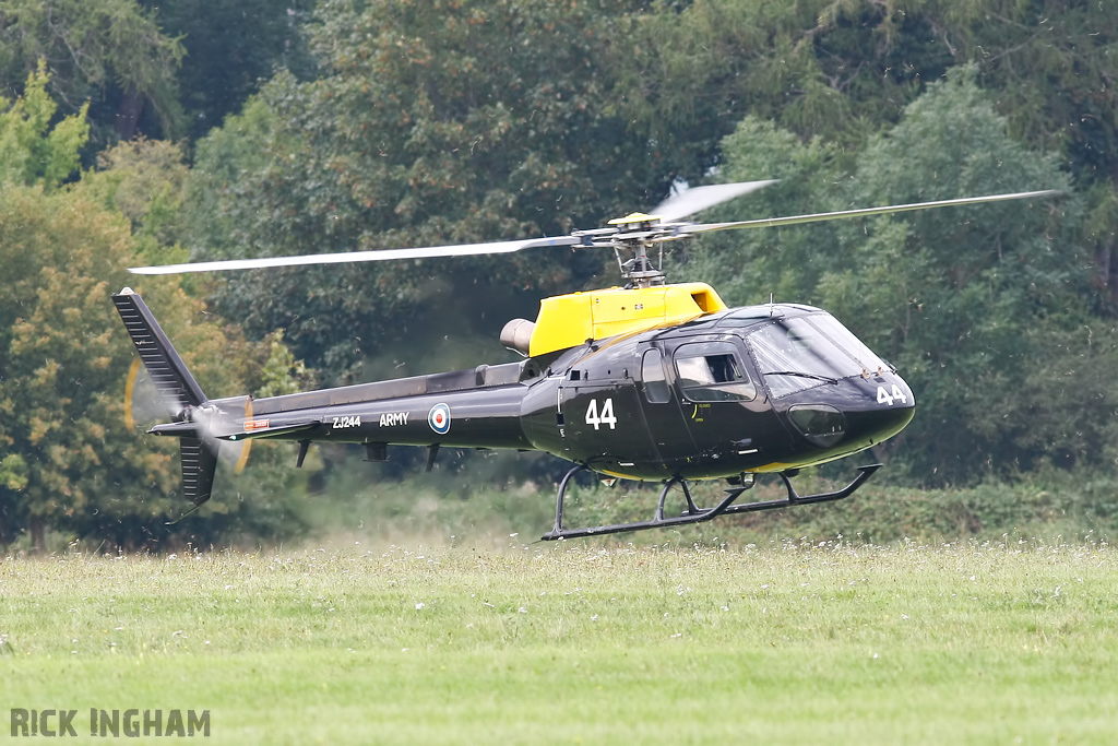 Eurocopter Squirrel HT2 - ZJ244 - AAC