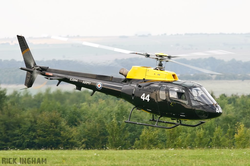 Eurocopter Squirrel HT2 - ZJ244 - AAC