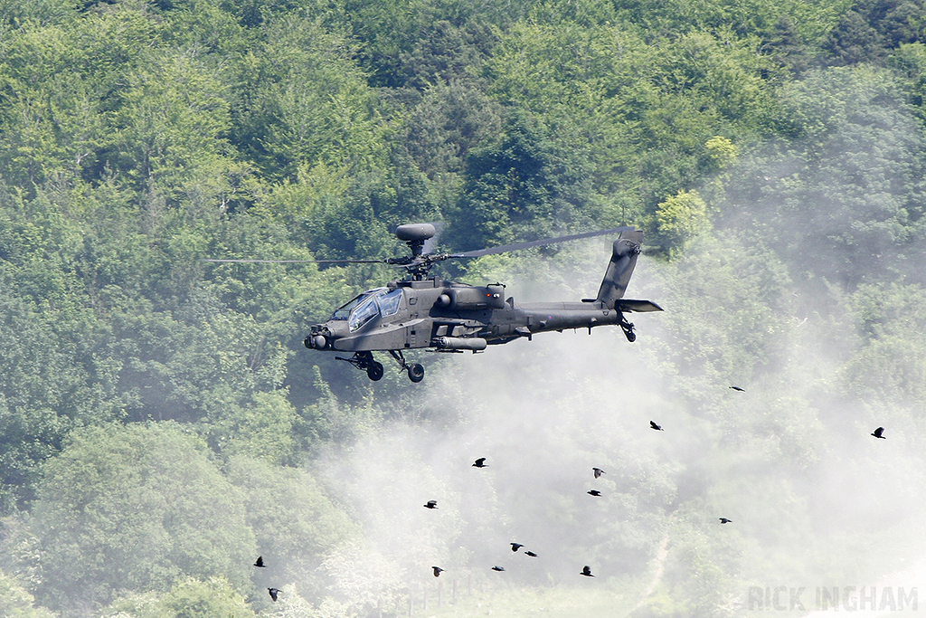Westland Apache AH1 - ZJ212 - AAC