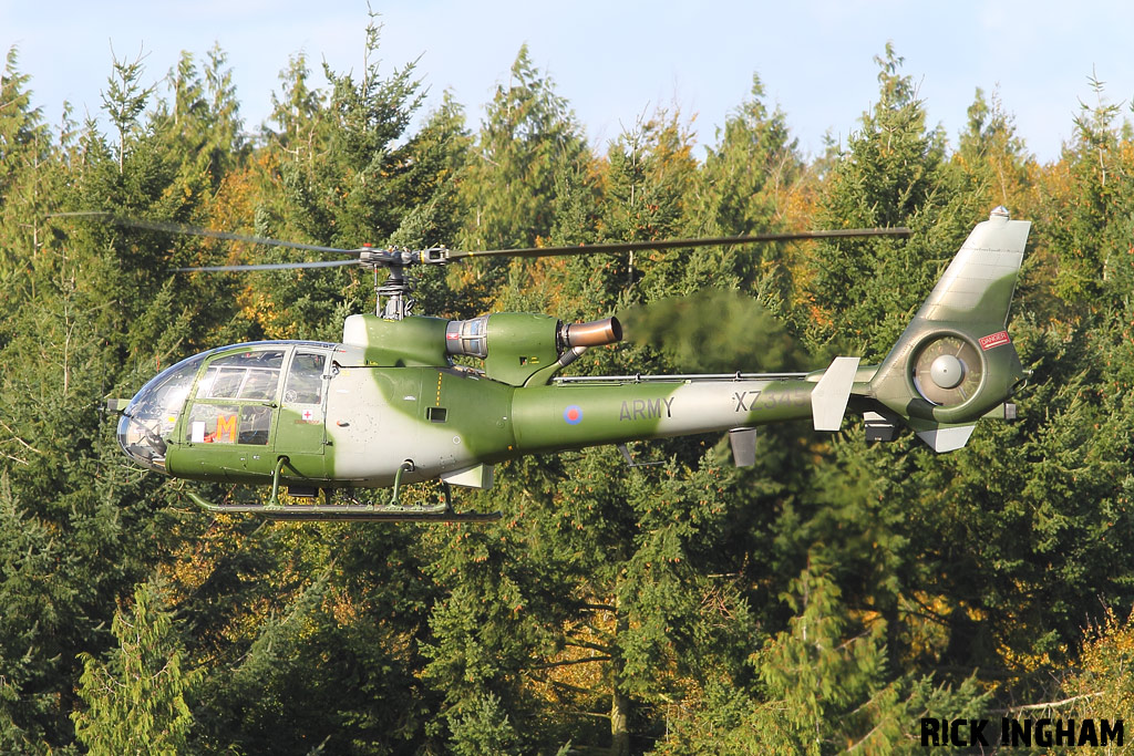 Westland Gazelle AH1 - XZ345/M - AAC