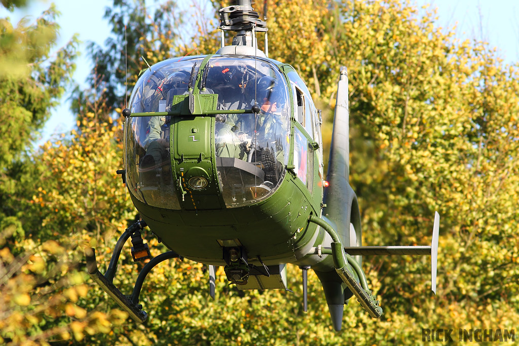 Westland Gazelle AH1 - XZ345 - AAC