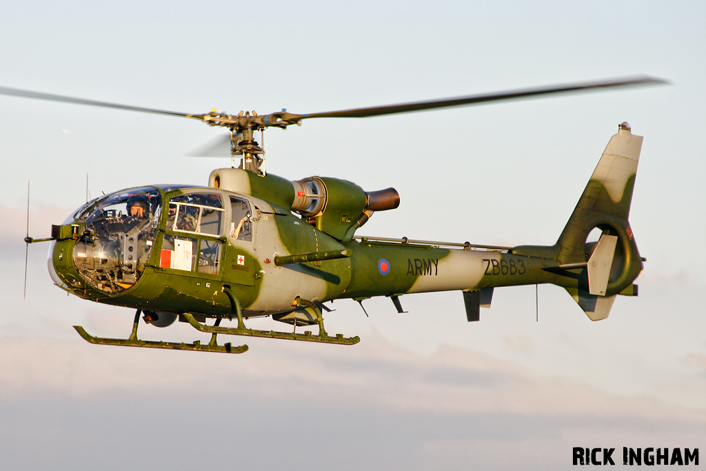 Westland Gazelle AH1 - ZB683 - AAC