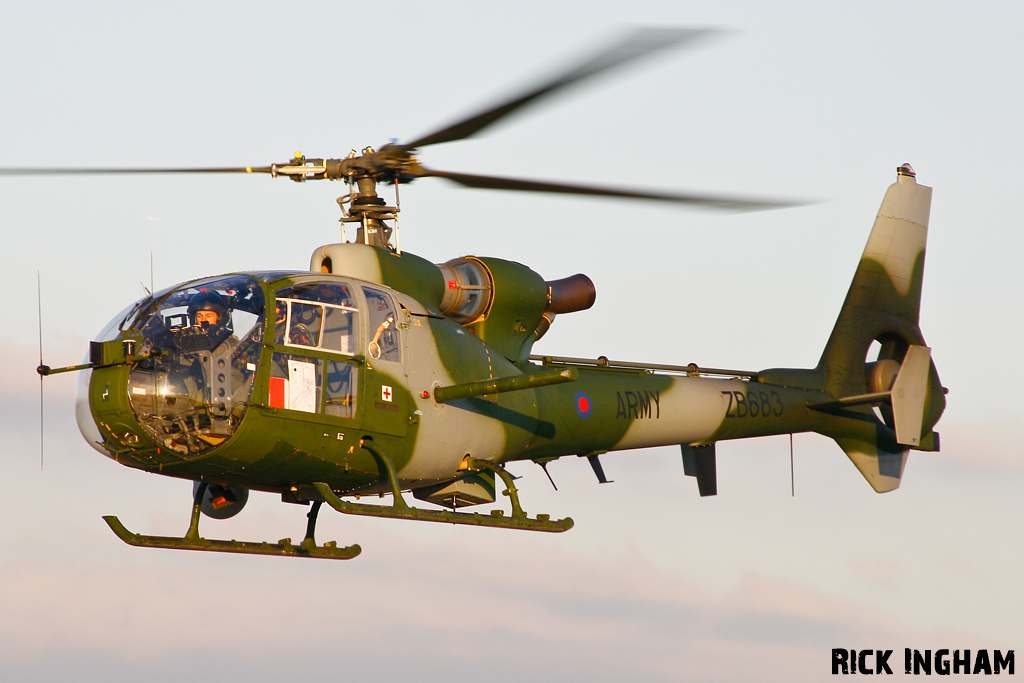 Westland Gazelle AH1 - ZB683 - AAC