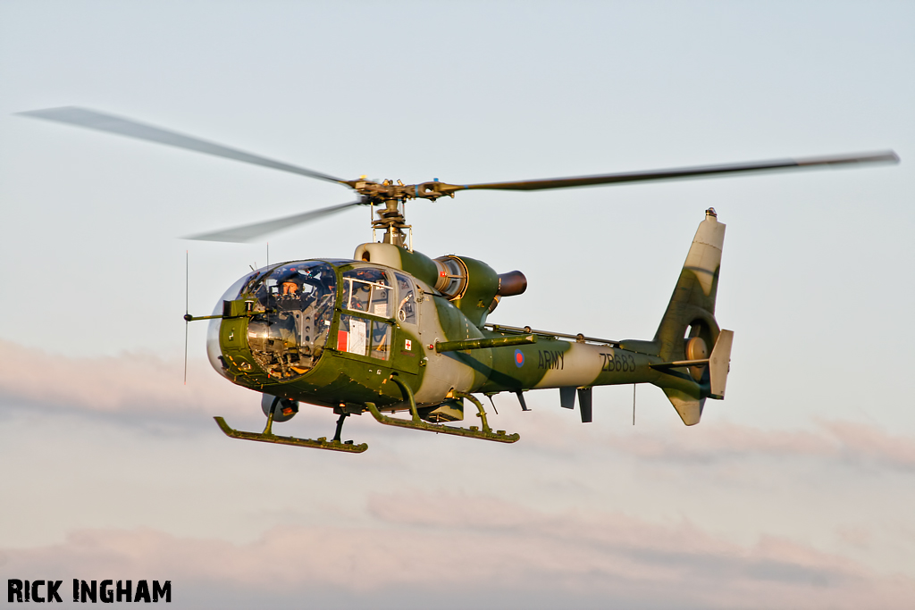 Westland Gazelle AH1 - ZB683 - AAC