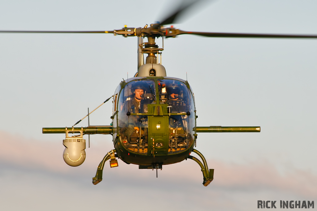 Westland Gazelle AH1 - ZB683 - AAC