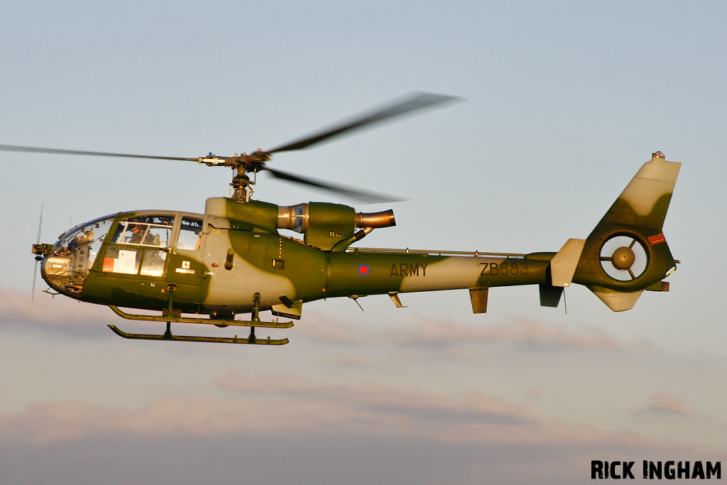 Westland Gazelle AH1 - ZB683 - AAC