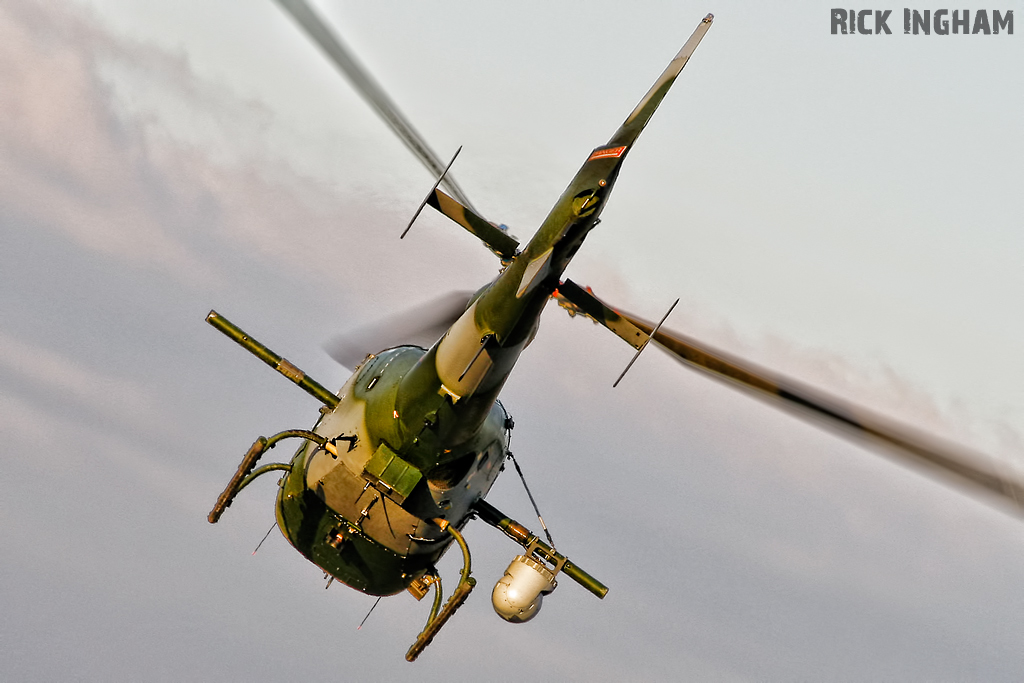 Westland Gazelle AH1 - ZB683 - AAC