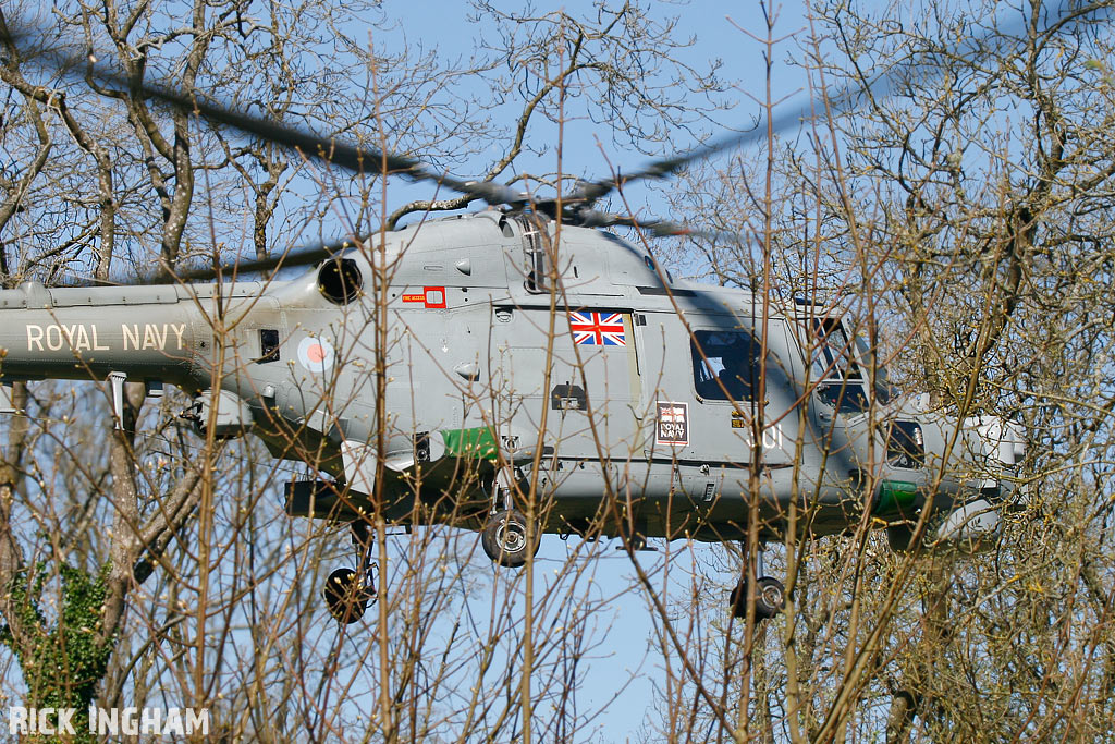 Westland Lynx HMA8 - ZD262/301  - Royal Navy