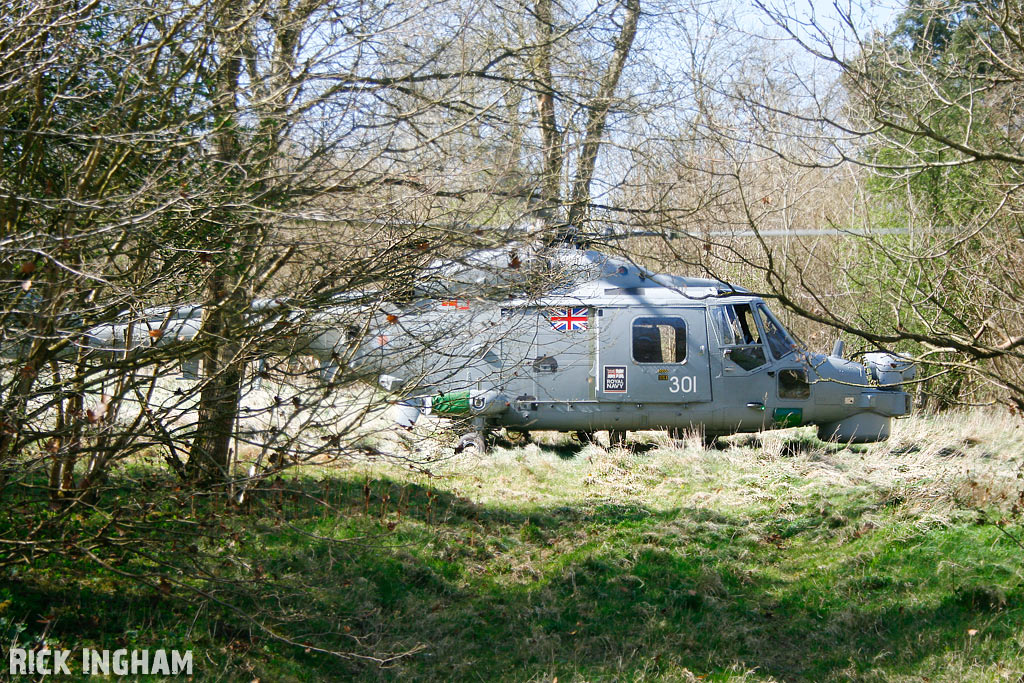 Westland Lynx HMA8 - ZD262/301  - Royal Navy