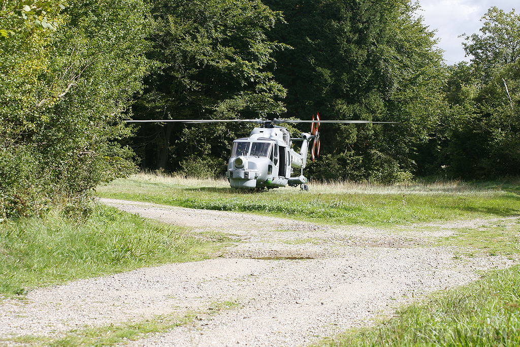 Westland Lynx HMA8 - ZD260/303 - Royal Navy